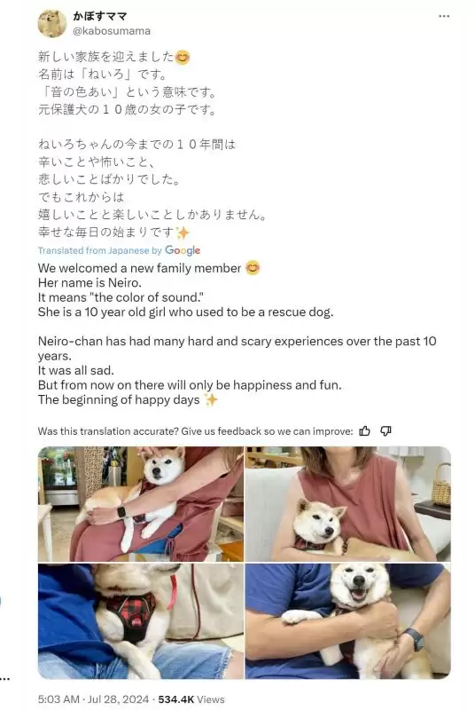 Neiro是什么币？复盘Neiro新币两天市值近五千万美元