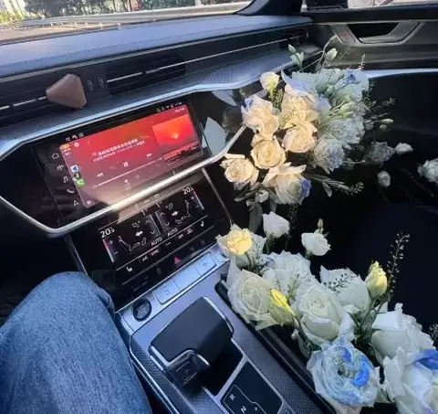 2025款奥迪A6L提车记:科技与优雅并存