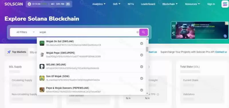 Solscan是什么公链?如何使用Solscan功能?