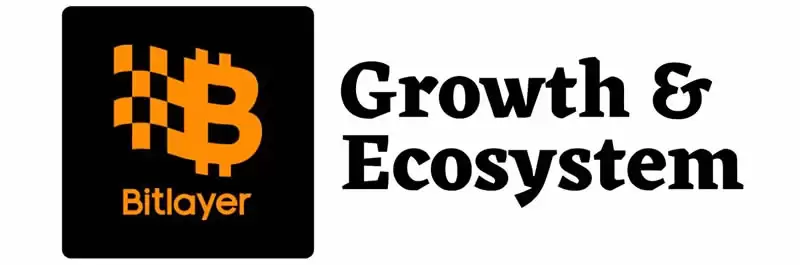 关于Bitlayer生态,有哪些项目值得关注?