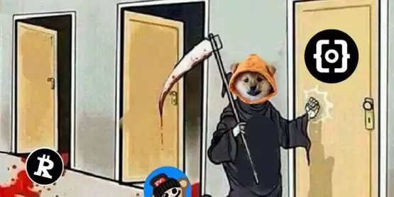 比特币Runes全面上涨! DOG单日涨幅超19% JOKER冲上榜首