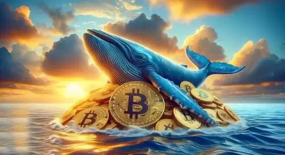 比特币力守六万大关!中本聪同期矿工出清BTC获利超100万倍