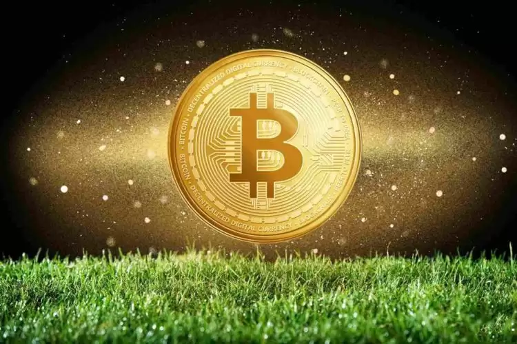 比特币最贵的时候多少钱一个？比特币价格会涨到多少？