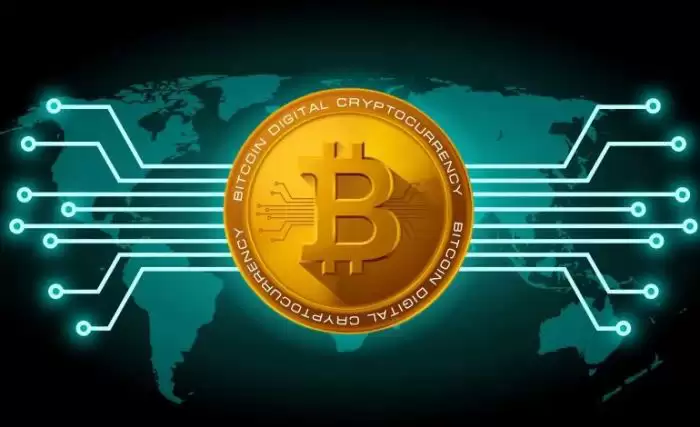 2024年最具潜力的虚拟货币币种汇总