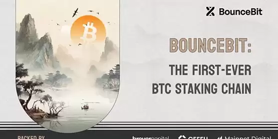 顶级机构领投 Bouncebit完成600万美元融资！点燃比特币再质押赛道？