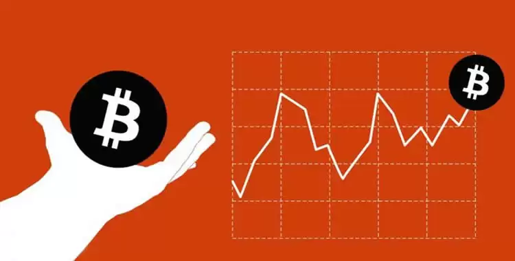 爆仓数据查询指南