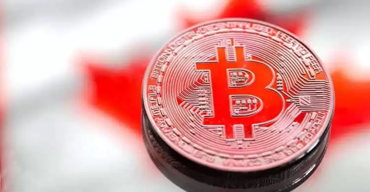 币圈K线图颜色说明