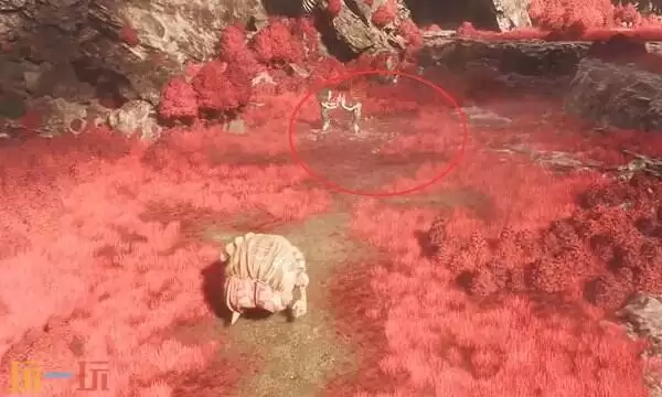 光与影33号远征队默偶收集:塞壬 大陆地图的默偶位置分享