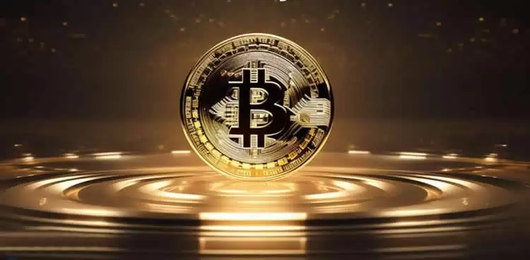 比特币主导地位概念图解