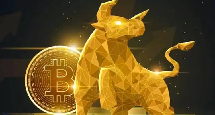 比特币经历了几个牛市？比特币牛市是在减半前还是后？