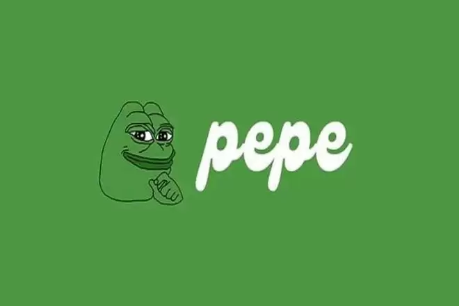 佩佩(PEPE)币涨了多少倍?PEPE币未来价值预测