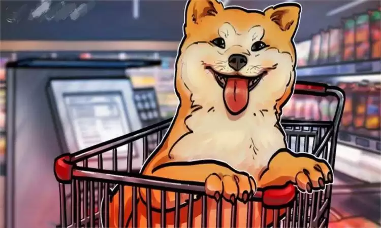 AKITA币有投资价值吗？AKITA币未来前景分析