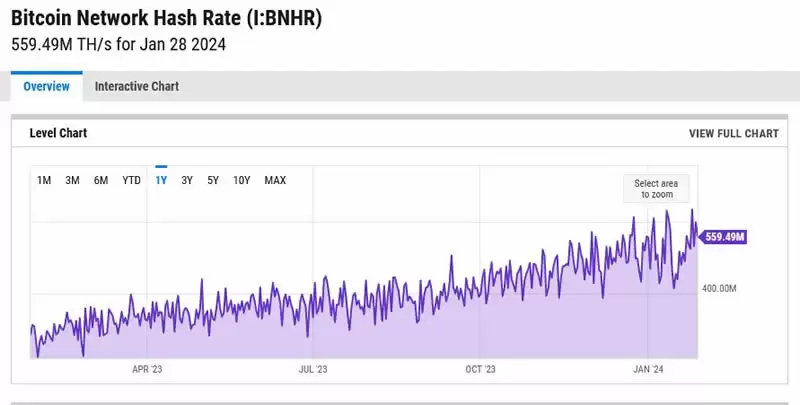 BTC算力与矿工行为分析