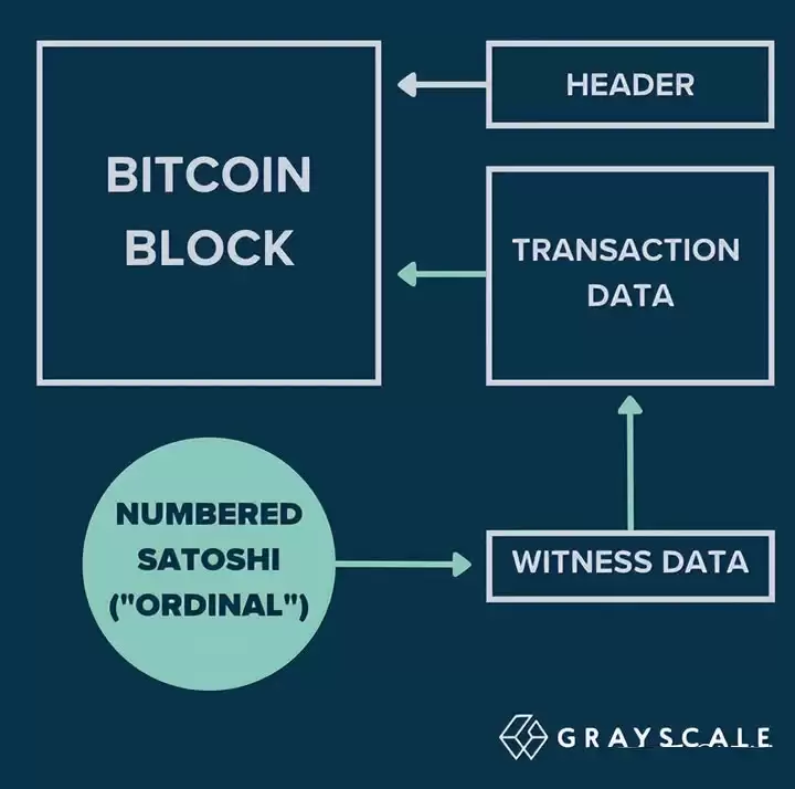 BRC20铭文龙头币盘点:ORDI、MEME和BANK币深度分析