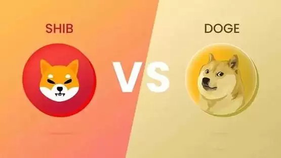 一文详细了解SHIB币和DOGE币哪个潜力大?
