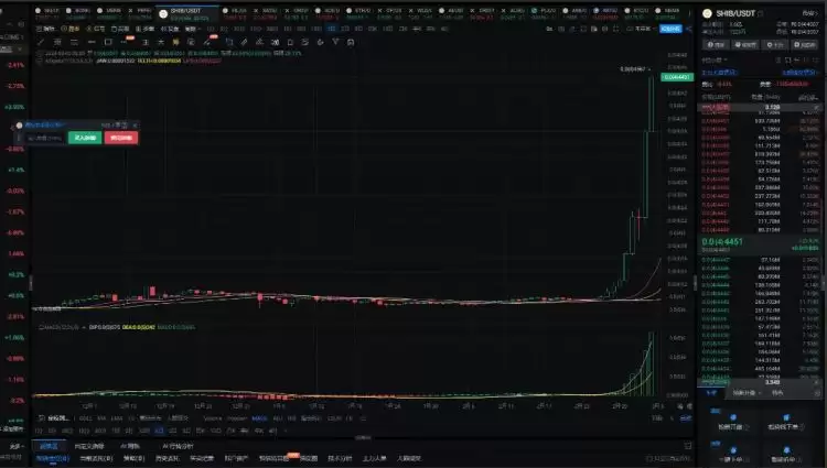 2025年真正的100倍币只有这六种!2025百倍币盘点