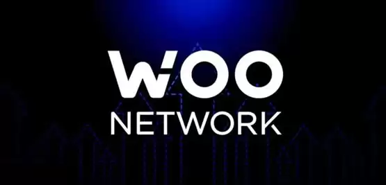 WOO币是否具有投资价值与潜力分析