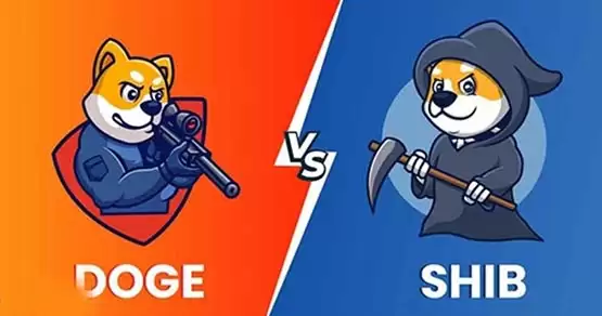 一文搞懂SHIB币和DOGE币哪个潜力大?