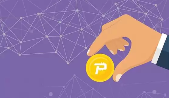 PASC币怎么样?PASC币值得投资吗?