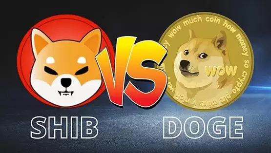 一文详细了解SHIB币和DOGE币哪个潜力大?