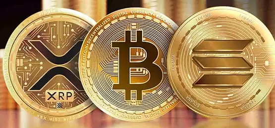 2024年最具潜力的加密资产盘点