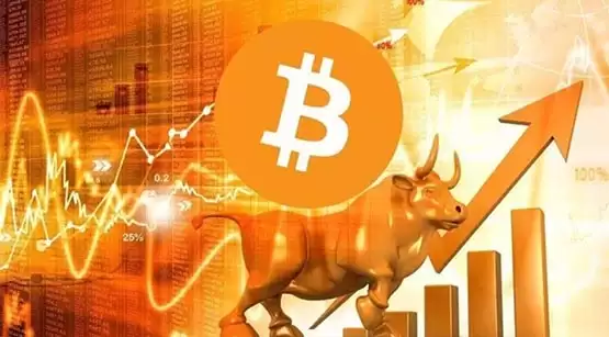 比特币NFT节点猴地板价逼近1BTC!最高成交价108万美元