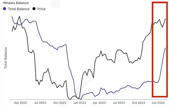 巨鲸比特币余额不断增长