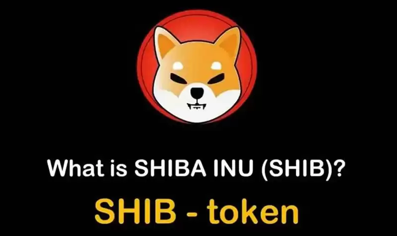 柴犬币(Shiba Inu)是什么？柴犬币/shib币的未来如何？值得投资吗？