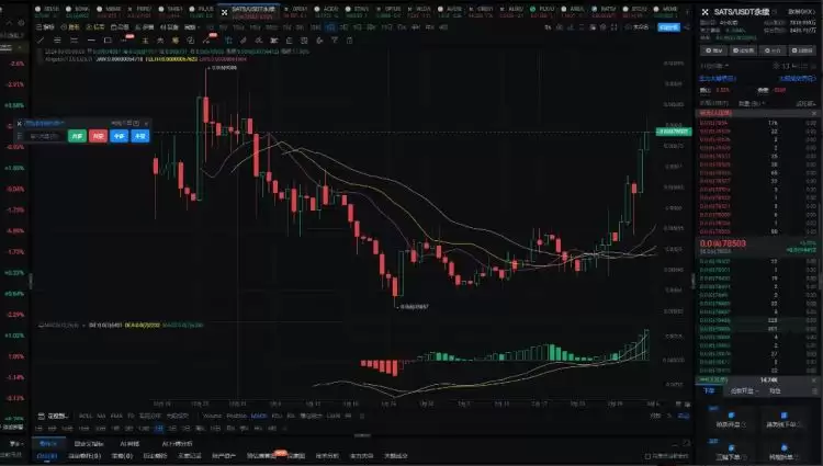 2025年真正的100倍币只有这六种!2025百倍币盘点