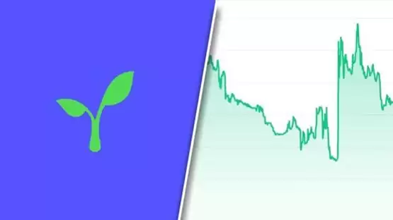 RAD币挖矿教程：一文掌握质押挖矿全流程