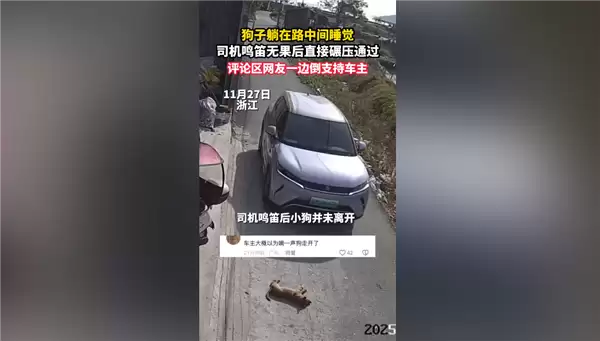 狗在路中间睡觉司机鸣笛无效后碾压 网友吵翻：到底要负责任吗