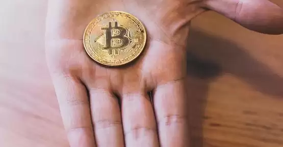 比特币采用率逐步上升!BTC Map:2023年超6300家商店支持BTC支付