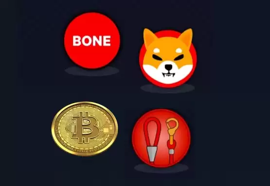 LEASH币价值如何?LEASH币值得长期投资吗?