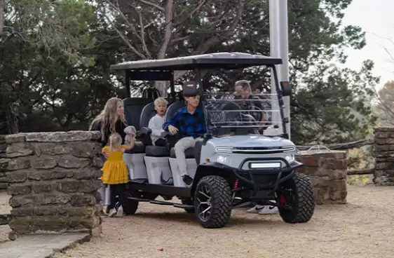 涛涛车业赴港上市：在美国卖“老头乐”年入29亿