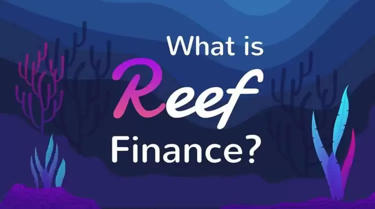 REEF币发行量介绍