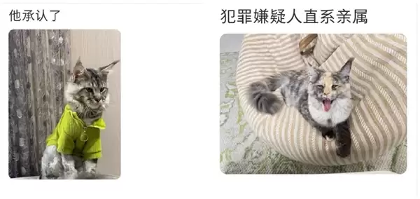 电影《疯狂动物城2》热映:一夜之间所有的缅因猫都在被盘问