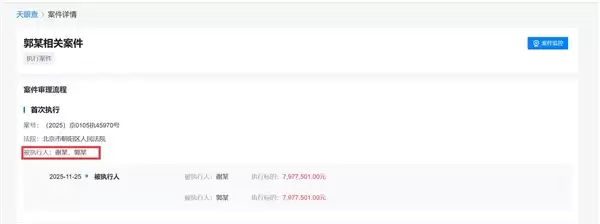 嘎子哥夫妇再被执行797万:此前已被执行超1400万