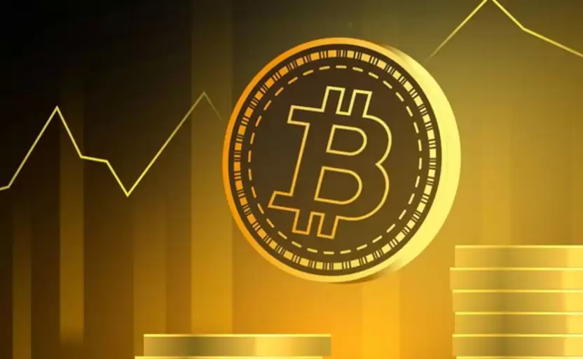 BTC最多持有人是谁_BTC最大钱 包是谁拥有 - 本站