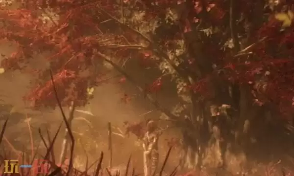 光与影33号远征队芽蛊任务攻略：小芽蛊支线任务全流程详解