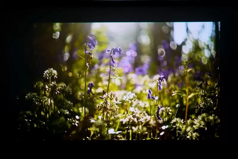 三色激光画质惊人!当贝D7X激光投影仪评测:三千元不到就能体验旗舰技术