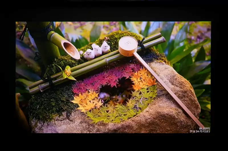 三色激光画质惊人!当贝D7X激光投影仪评测:三千元不到就能体验旗舰技术