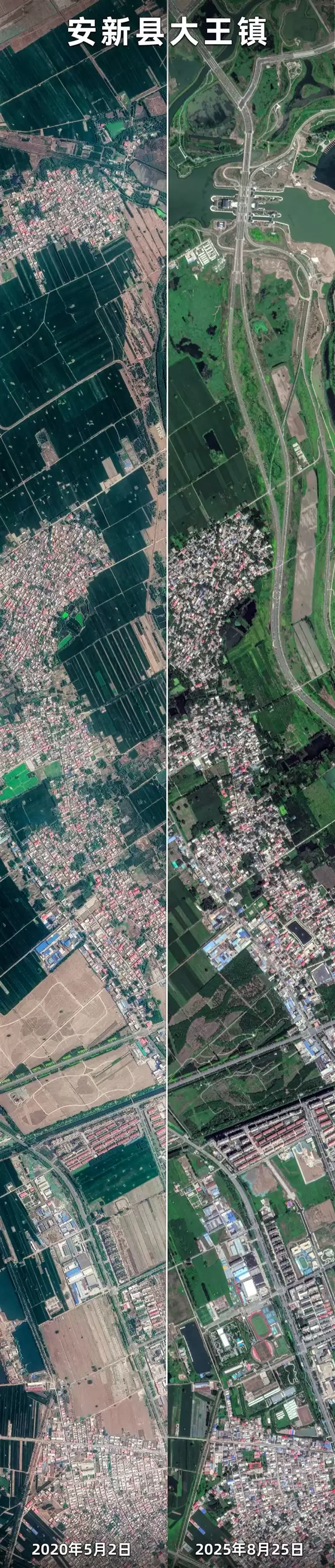卫星眼中的雄安速度!从2020到2025 绿化与大楼同生长