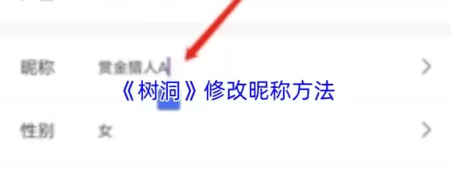 《树洞》修改昵称方法