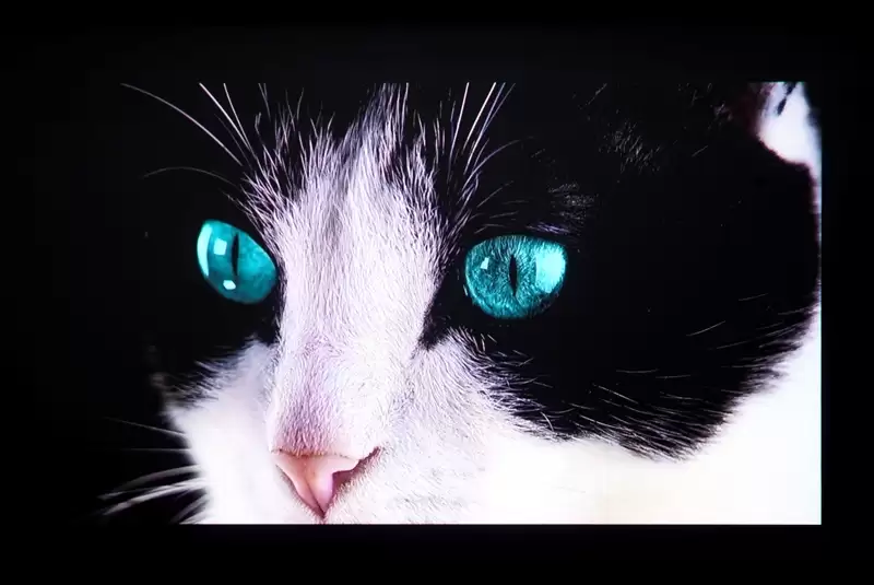 三色激光画质惊人!当贝D7X激光投影仪评测:三千元不到就能体验旗舰技术