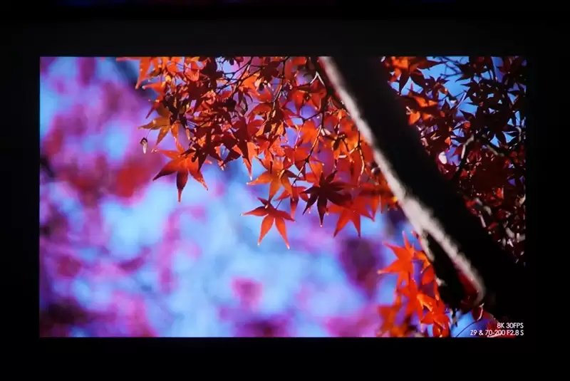 三色激光画质惊人!当贝D7X激光投影仪评测:三千元不到就能体验旗舰技术