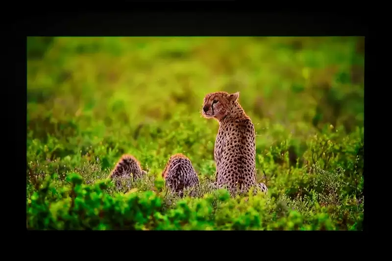 三色激光画质惊人!当贝D7X激光投影仪评测:三千元不到就能体验旗舰技术