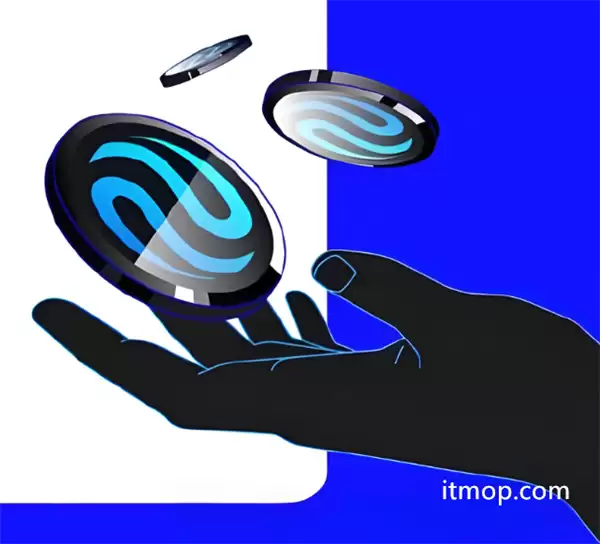 inj币投资价值解析