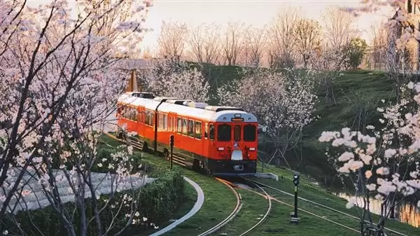 2025年华为花粉年会官宣：12月19日上海淀山湖见！