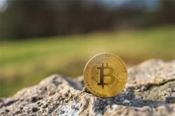 市场震荡,不如来把南瓜子? 市场震荡,不如来把南瓜子?