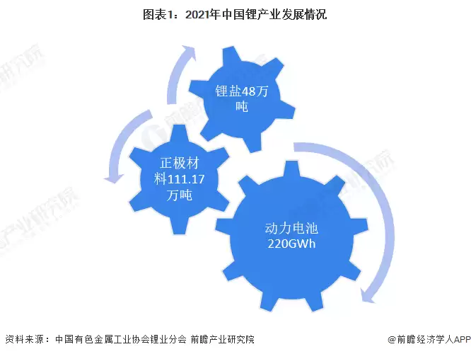 图1：2021年中国锂产业发展情况